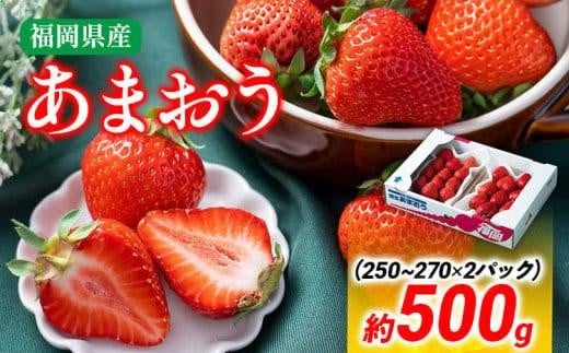 【冬】あまおう 約500g いちご 苺 果物 フルーツ 冷蔵 送料無料 ※北海道・沖縄・離島は配送不可 大木町産 南国フルーツ CO001