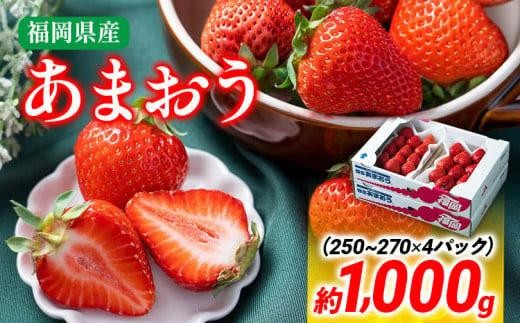 【冬】あまおう 約1000g いちご 苺 フルーツ 九州産 冷蔵 送料無料 イチゴ 果物 ※北海道・沖縄・離島は配送不可 大木町産 南国フルーツ CO002