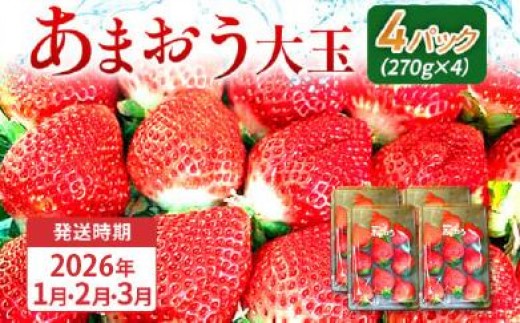 期間限定 いちご あまおう 苺 イチゴ 1kg あまおう(大玉)、4パック(270g/パック) 【2026年1月~3月順次発送】 フルーツ 果物 くだもの 大玉 ※北海道・沖縄・離島は配送不可 大木町産 おおきベリー CT004