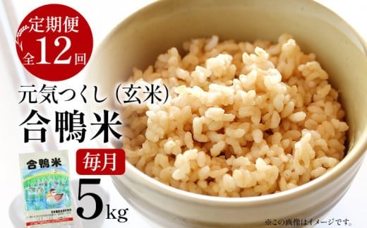 令和7年産 新米予約 合鴨米「元気つくし」(玄米・5kg)定期便12回コース 数量限定 ※令和7年10月スタートの定期便 BI11
