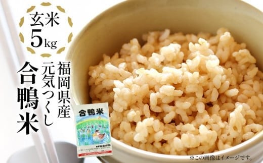 令和7年産 新米予約 合鴨米「元気つくし」(玄米・5kg)数量限定 BI09