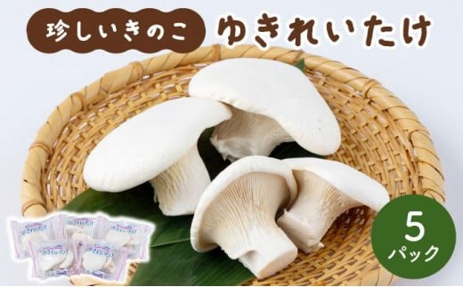 珍しいきのこ ゆきれいたけ AT19