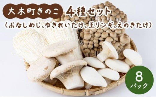 大木町のきのこセット(ぶなしめじ・ゆきれいたけ・王リンギ・えのきたけ各2パック)