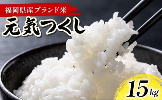 《20営業日内発送》福岡県産米 元気つくし 15kg 令和6年産【精米 6年産 国産 福岡県産 お米 ブランド米 15kg げんきつくし】 CY013