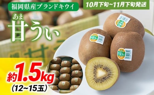 期間限定 福岡県産ブランドキウイ「甘うぃ」約1.5kg(12-15玉)美容 健康 キウイ キウイフルーツ 南国フルーツ CO014