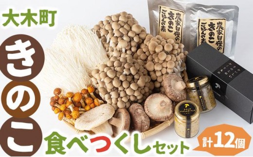 大木町きのこ食べつくしセット AZ03