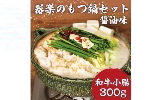 器楽のもつ醤油鍋 [a9119] 藤井乾物店 ※配送不可：離島【返礼品】添田町 ふるさと納税