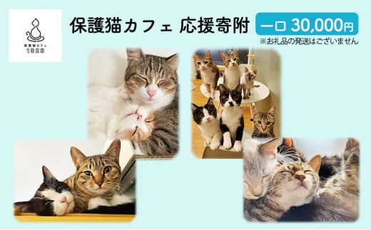 保護猫カフェへの寄附 【お礼品の発送はございません】一口30,000円