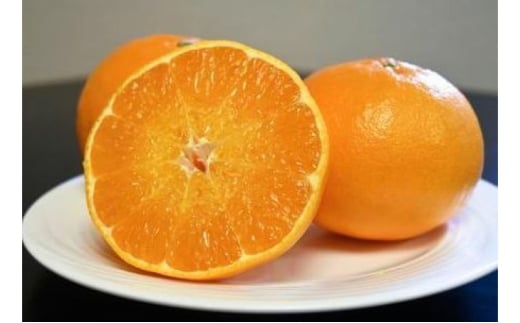 [№5353-0603]にじゅうまる 約3kg（化粧箱入り） 柑橘 果物 フルーツ デザート ※配送不可:離島
