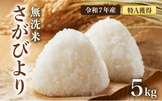 先行予約 [令和7年産] 特A評価 さがびより 無洗米 5kg