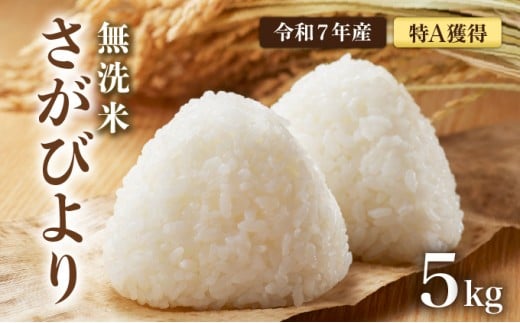 先行予約 [令和7年産] 特A評価 さがびより 無洗米 5kg