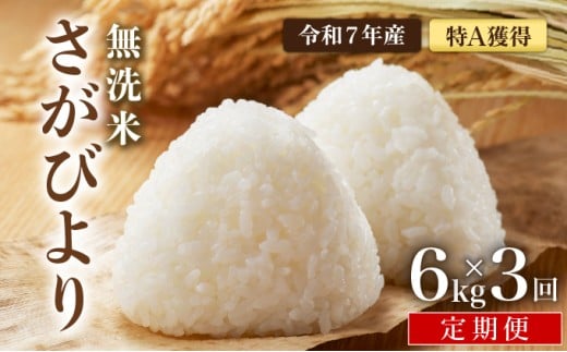 先行予約 [令和7年産] [定期便3回] 特A評価 さがびより 無洗米 6kg×3回 真空パック
