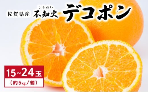 [先行予約] 佐賀産 デコポン15〜24玉(約5kg箱)／ふるさと納税 佐賀 フルーツ濃厚 甘い 酸味 大町 贈答 ギフト 贈り物