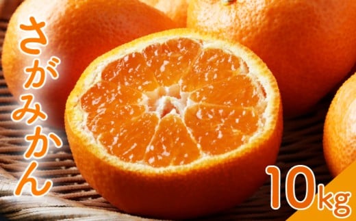 ＜先行予約・選べる内容量＞ ＜10月以降順次発送＞柑橘の名産地 佐賀産さがみかん約10kg箱 ／ふるさと納税 佐賀 みかん オレンジ フルーツ濃厚 甘い 酸味 大町 贈答 ギフト 贈り物 41nf-013