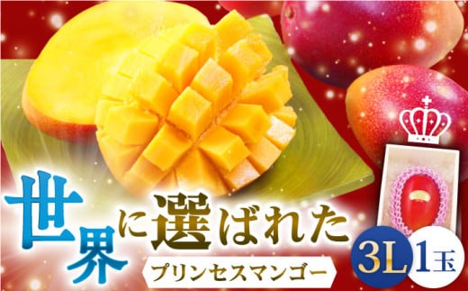 【先行予約】【心地よい至福の果肉感！】完熟プレミアム プリンセス マンゴー 3L×1玉 完熟マンゴー 高品質マンゴー まんごー 【堀内フルーツファーム】 [QAT006] プリンセス マンゴー ぷりんせすまんごー 完熟 マンゴー 高品質マンゴー まんごー 果物 フルーツ マンゴー / 長崎県 佐々町