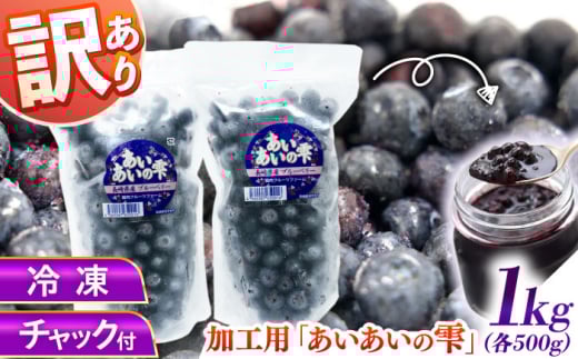 【訳あり】冷凍 ブルーベリー 計1kg 果物 ブルーベリー フルーツ 小分け 冷凍 ブルーベリー 大粒 ぶるーべりー 国産【堀内フルーツファーム】 [QAT019] / 長崎県 佐々町