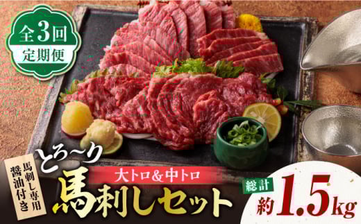 【3回定期便】サシが決め手の「トロ〜り 馬刺し セット 」 中トロ馬刺し 約50g×6 大トロ馬刺し 約50g×4 計500g 国産 馬刺し 熊本 山鹿市 霜降り サシ 大トロ 中トロ 専用醤油付き 食べ比べ セット 冷凍 小分け おつまみ ヘルシー【株式会社  利他フーズ】[ZBK016]