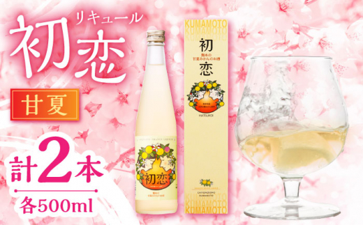 甘夏 リキュール 初恋 500ml 2本セット 【千代の園酒造 株式会社 】あまなつ 柑橘 酒 熊本 甘酸っぱい ストレート 炭酸割  [ZAI044]