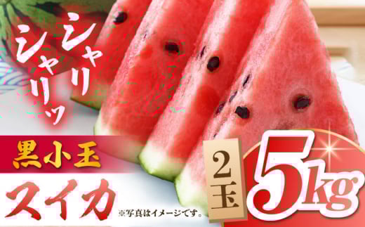 【先行予約】黒小玉 スイカ (ひとりじめ BonBon) 2玉 計約5kg【岡山農園】すいか 西瓜 果物 フルーツ 熊本 小玉スイカ [ZBY001]