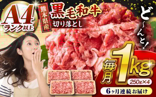 【6回定期便】熊本県産 黒毛和牛 切り落とし 計約1kg (約250g×4P) 牛肉 切り落とし 国産 和牛 ブランド牛 A4ランク以上 A4 A5 小分け 冷凍 肉 牛こま こま肉 肉じゃが 炒め物 野菜炒め 使い方色々 九州産 熊本産 山鹿市 送料無料 定期便【有限会社九州食肉産業】[ZDQ033]