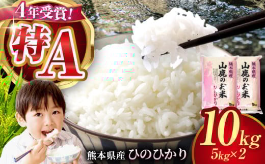 山鹿のお米 ヒノヒカリ 5kg×2【有限会社 あそしな米穀】ひのひかり 熊本 ごはん [ZBI012]