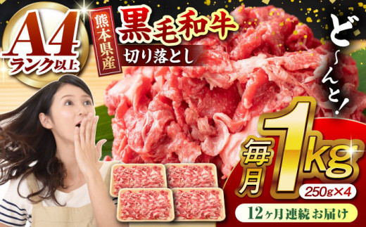 【12回定期便】熊本県産 黒毛和牛 切り落とし 計約1kg (約250g×4P) 牛肉 切り落とし 国産 和牛 ブランド牛 A4ランク以上 A4 A5 小分け 冷凍 肉 牛こま こま肉 肉じゃが 炒め物 野菜炒め 使い方色々 九州産 熊本産 山鹿市 送料無料 定期便【有限会社九州食肉産業】[ZDQ034]