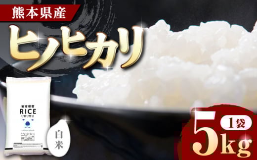 ヒノヒカリ 白米 5kg【株式会社  農産ベストパートナー】5kg 精米 特A ヒノヒカリ ひのひかり コメ 米 お米 熊本県 熊本県産 ごはん 白米  [ZBP089]
