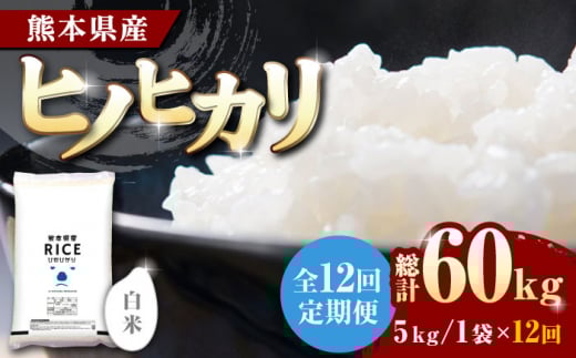 【全12回定期便】 ヒノヒカリ 白米 5kg【株式会社  農産ベストパートナー】5kg 精米 特A ヒノヒカリ ひのひかり コメ 米 お米 熊本県 熊本県産 ごはん 白米 定期 [ZBP090]