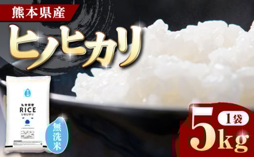 ヒノヒカリ 無洗米 5kg【株式会社  農産ベストパートナー】5kg 無洗米 精米 特A ヒノヒカリ ひのひかり コメ 米 お米 熊本県 熊本県産  [ZBP091]