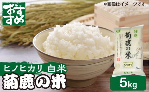 菊鹿の米 ヒノヒカリ 5kg【有限会社 あそしな米穀】ひのひかり 熊本 米 コメ こめ [ZBI016]
