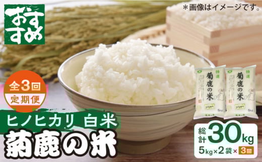 【3回定期便】菊鹿の米 ヒノヒカリ 白米 5kg×2袋【有限会社 あそしな米穀】お米定期 お米定期便 ひのひかり 熊本 精米 [ZBI017]