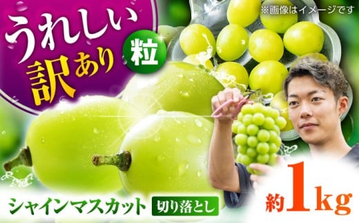 【先行予約】 訳あり シャインマスカット 切り落とし 約1kg ブドウ 葡萄 ぶどう おすすめ 国産 熊本県 山鹿 果物 くだもの フルーツ わけあり 人気 ブランド 特産品 種類 産地 九州 食品 季節 評価 レビュー 送料無料 【合同会社 社方園】[ZBZ006]