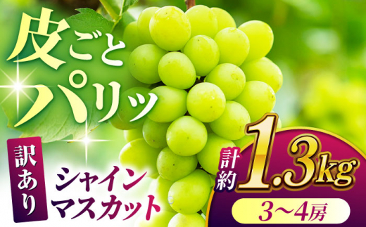【先行予約】【訳あり】 シャインマスカット 約1.3kg(3～4房)【合同会社 社方園】 [ZBZ029]