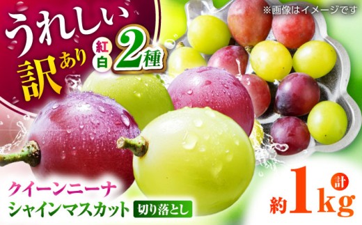 【先行予約】 訳あり 紅白ぶどう2種（シャインマスカット＆クイーンニーナ）食べ比べ 切り落とし 計約1kg  【合同会社 社方園】 [ZBZ041]