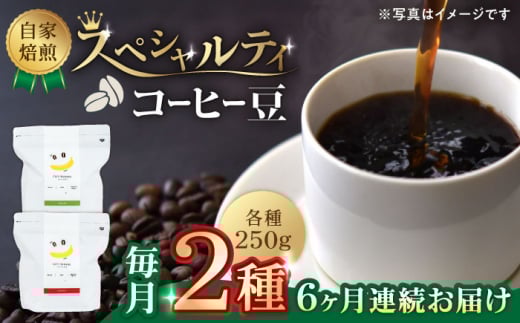 【6回定期便】【豆のまま】自家焙煎 スペシャルティコーヒー 豆 （ 250g × 2種 ）約40杯分【かきやま果実】珈琲豆  深煎 中煎 コーヒー豆 焙煎 熊本 コーヒー豆定期 おうちカフェ [ZCJ016]