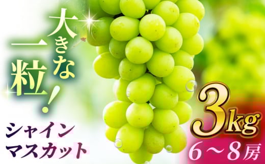【2026年発送先行予約】 シャインマスカット 3kg(6～8房)【合同会社 社方園】マスカット ぶどう 葡萄 熊本 フルーツ 果物  [ZBZ014]