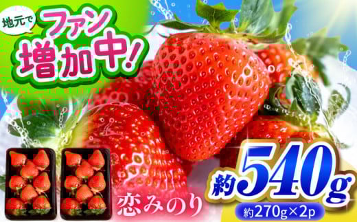 【先行予約】こば農園のこだわりいちご　恋みのり 約540g（約270g：6~11粒×2パック） 【合同会社 こば農園】 [ZFO001]