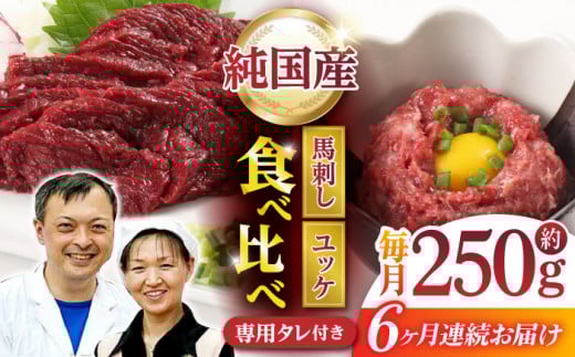 【6回定期便】 【純国産】熊本の味 「桜」 馬刺し 晩酌セット (赤身・ユッケ) 約250g タレ付 国産 馬刺し 赤身 ユッケ 桜納豆 馬肉 桜肉 ヘルシー 専用タレ 小分け おろし生姜 低カロリー 高タンパク 冷凍 ギフト 贈答用 山鹿市 送料無料 定期便【有限会社 九州食肉産業】 [ZDQ145]