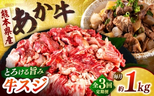 【全3回定期便】熊本あか牛スジ 1kg　 【合同会社　長岡フーズ】 [ZFR046]