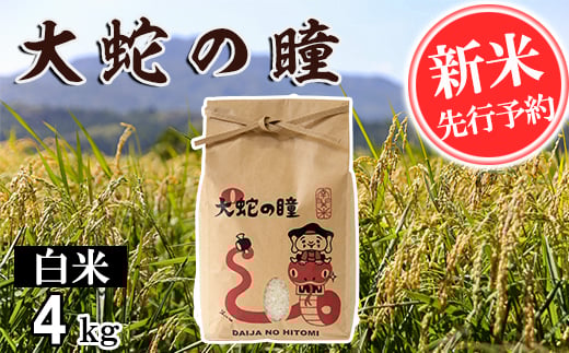 【令和7年産】大蛇の瞳 白米 4kg 精米 熊本県 南関町産 単一原料米 コシヒカリ 産地直送 コメ お米 ごはん