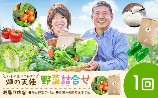 野菜 詰合せ 7～9品 米 2kg 1回《60日以内に出荷予定(土日祝除く)》 畑の天使 いちど食べてみて「畑の天使」野菜 米 安全安心 おまかせ 詰め合わせ セット 旬の野菜 ボリューム 季節 生産者 フレッシュ サラダ 熊本県 南関町