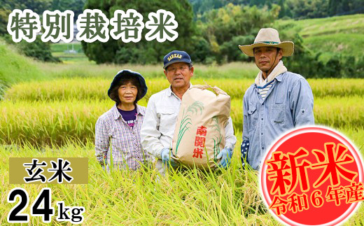 【令和6年産】特別栽培米 玄米 24kg 熊本県 南関町産 単一原料米 ヒノヒカリ 産地直送 生産者 お米
