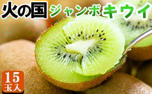 火の国ジャンボキウイ 15玉【大玉・完熟】 嬉しい大きさ