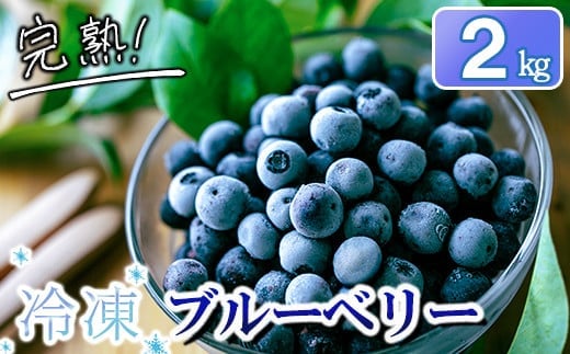 完熟 冷凍ブルーベリー 加工用途におすすめ2kg 南関町産