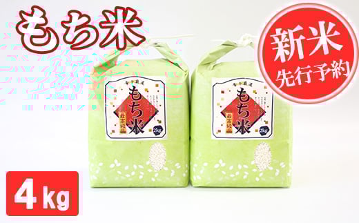先行予約【令和7年産】もち米 4kg 精米 熊本県 南関町産 産地直送 餅 赤飯 おこわ 12月初旬よりお届け