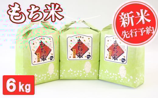 先行予約【令和7年産】もち米 6kg 精米 熊本県 南関町産 産地直送 餅 赤飯 おこわ 12月初旬よりお届け