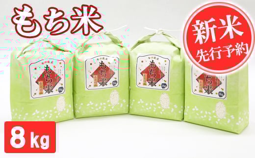 先行予約【令和7年産】もち米 8kg 精米 熊本県 南関町産 産地直送 餅 赤飯 おこわ 12月初旬よりお届け