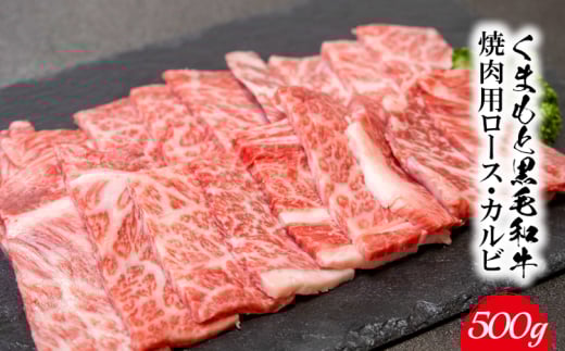 くまもと黒毛和牛 焼肉用ロース・カルビ 500g 《60日以内に出荷予定(土日祝除く)》 熊本県 長洲町 くまもと黒毛和牛 黒毛和牛 牛肉 肉 焼き肉 株式会社 羽根(出荷元:株式会社酒湊)