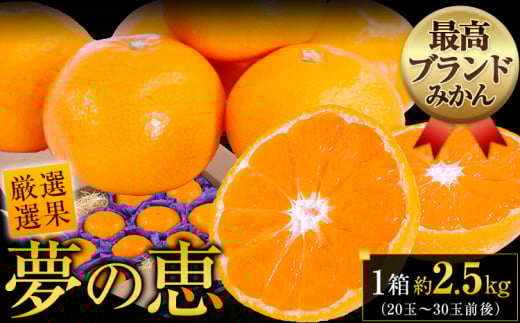夢の恵 みかん 約2.5kg(20玉~30玉前後) 熊本県産 (長洲町産含む) 糖度12度以上 ブランドみかん ブランド 贈答用 贈り物《11月上旬-12月末頃出荷》 熊本県 長洲町