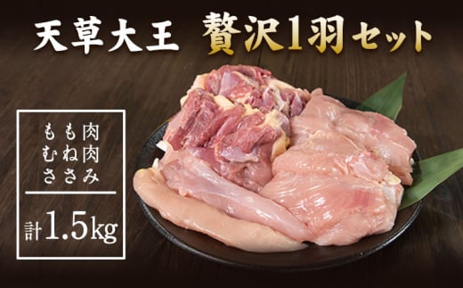 天草大王 贅沢1羽セット 約1.5kg 《60日以内に出荷予定(土日祝除く)》 【幻の地鶏】もも・むね・ささみ 各2枚